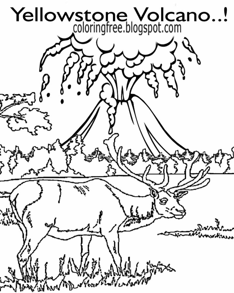 Download Printable Yellowstone Park Coloring American Wildlife Kids Drawings | Printable Coloring Pages