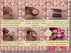 TUTO CANE ORCHIDEE PAGE 3