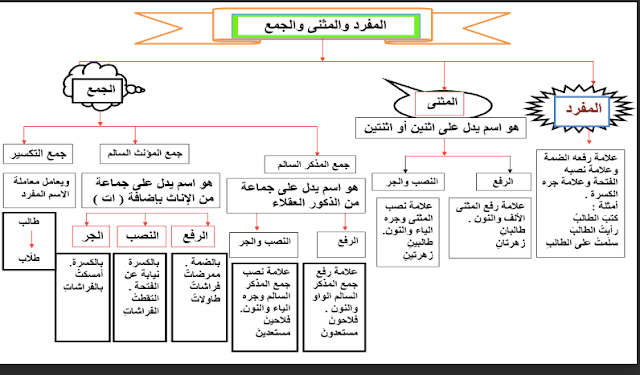 إعراب المثنى للصف السادس تمارين