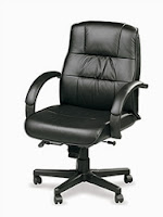 Eurotech Seating Ace Series Leather Office Chair