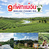 รวม 9 ที่พักแม่จัน ดอยตุง งามฟรุ้งฟริ้งรับลมหนาว บ้านพักเป็นหลังๆ สำหรับครอบครัว มานอนพักชมวิวไร่ชาสวยๆค่ะ