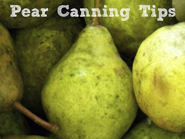 Pear Canning for the Rest of Us