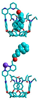 New Nano-Tool Synthesized at Scripps Research