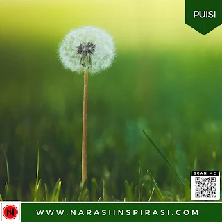 Puisi Alam: Dandelion dan Rumput