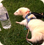 relaxinginthepark