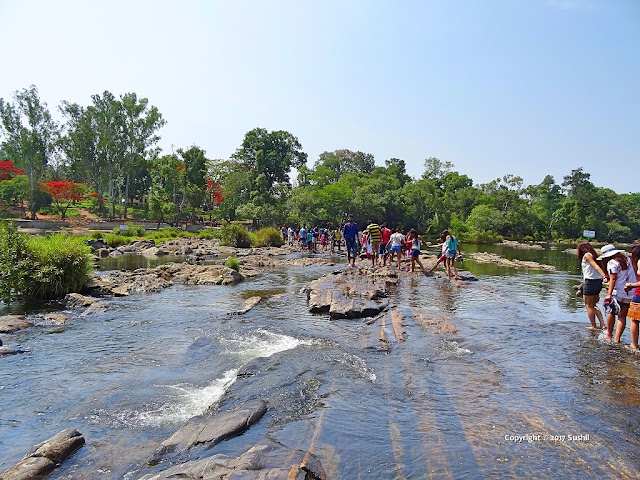 Dubare Elephant Camp is Other Side of the Kaveri River