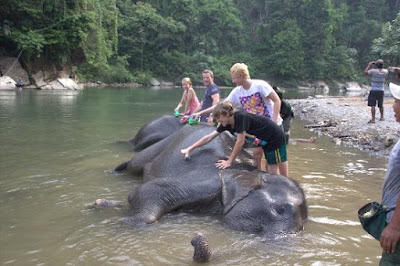 Bukit Lawang