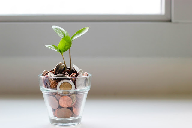 A small plant and coins in a cup visualizing savings