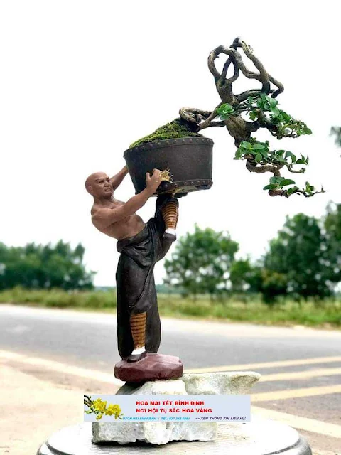 nghệ thuật bonsai hoamaixunau