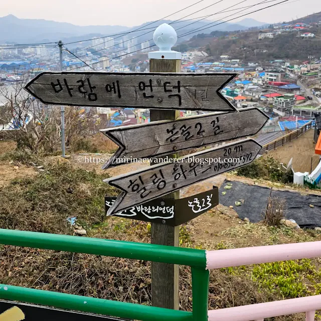 가족 여행지 추천 강원도 동해시 묵호 바람의 언덕