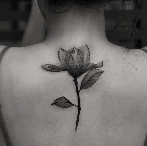 este_deslumbrante_de_raios-x_de_flor