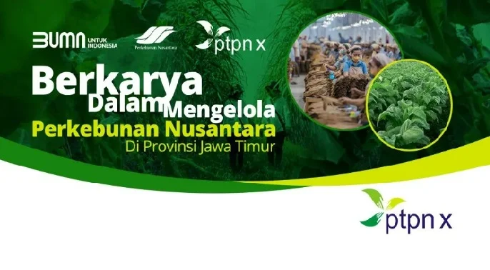 Lowongan Kerja PT Perkebunan Nusantara X Rekrutmen BUMN PTPN X Magenta Bulan Mei 2023