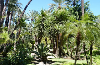 Elche, Huerto del Cura.