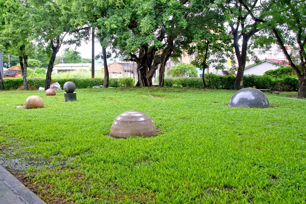 [台南][新營區] 天鵝湖公園｜埤寮埤｜新營唯一天然湖泊｜嘉南埤川國家級濕地｜遊記