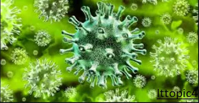ABOUT CORONA VIRUS
