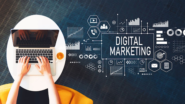 What to Expect When Working with a Top Digital Marketing Expert?