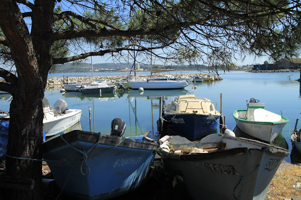 pointe-courte-bateaux