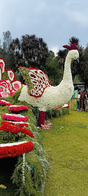 Ooty flower show: how to reach, Entry fee, date and time