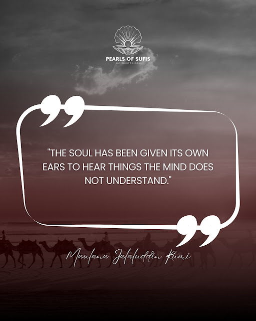 "The soul has been given its own ears to hear things the mind does not understand." - Maulana Rumi