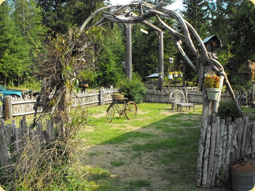 Mt. Rainier 331