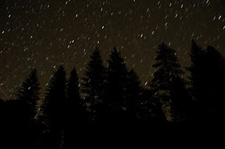 Stars and Pines
