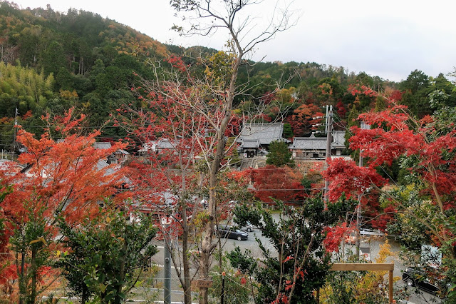 京都 柳谷観音 紅葉