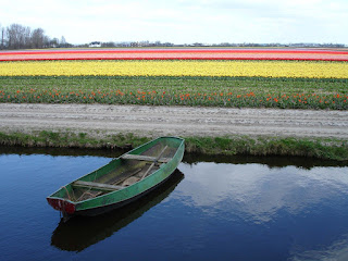 Green Pear Diaries, turismo, viajes, parques, Parque Keukenhof, Holanda