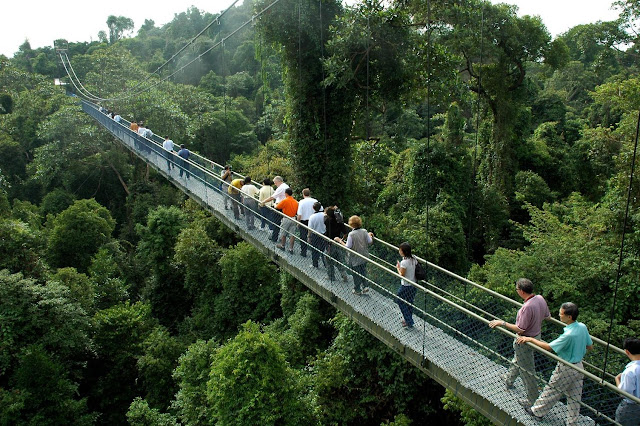 Top Hiking Trails In Singapore 