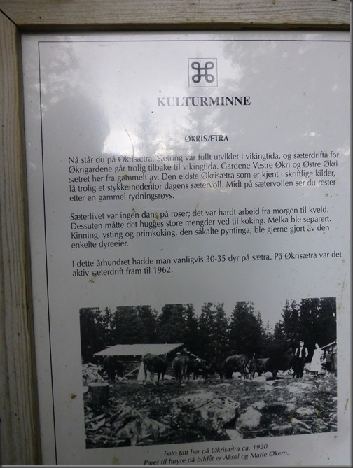 Jutulen 065