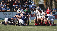 Pumitas rugby