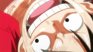 ワンピース アニメ 1064話 ルフィ かっこいい Monkey D. Luffy | ONE PIECE Episode 1064