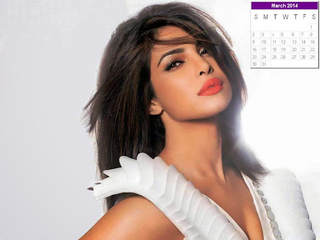 Priyanka Chopra Calendar 2014