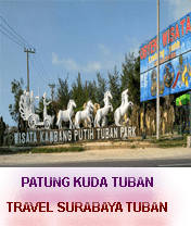 TRAVEL SURABAYA