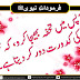 Islamic Urdu Quotes | Farman e Rasool S.A.W.W. Vol 6