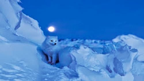 Power Path Solstice Update 122112 Lena Stevens