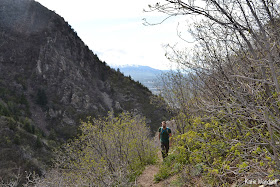 Trail in Ferguson Canyon