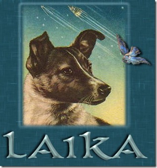 laika2011-58888