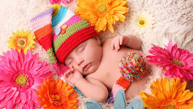 babysleeping-gerbera-flowers