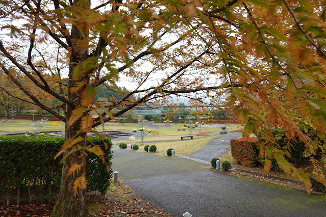 鳥取県西伯郡南部町鶴田　とっとり花回廊　紅葉