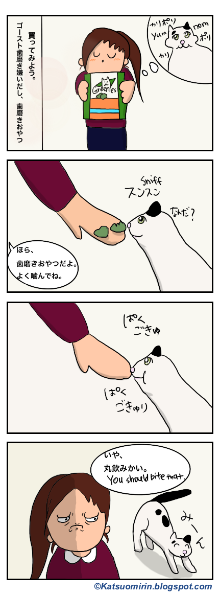 猫と歯磨きおやつ