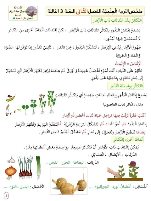 دروس وتمارين السنة الثالثة ابتدائي pdf الفصل الثاني