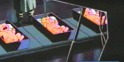 baby-factory