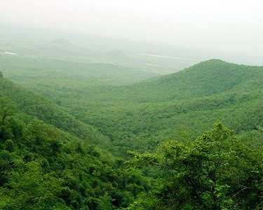 Biligiri Rangana(B.R.Hills)