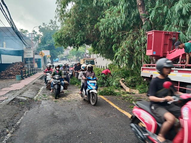 Antisipasi Pohon Tumbang, Babinsa Dampingi Dinas PUPR Pangkas Pohon Di Wilayah Samplangan