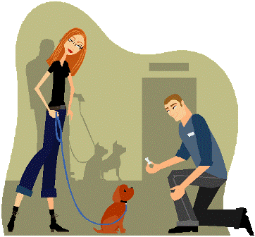 Dog Training Classes For People : Dog Wheel Support System   Watch Videos   Make Frisky, Healthy, Handicapped Pets