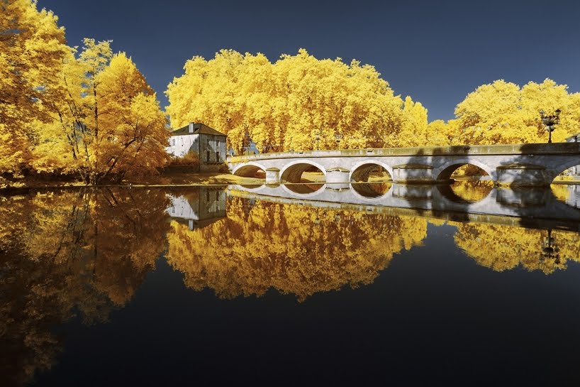 Paisajes franceses de color amarillo infrarrojo