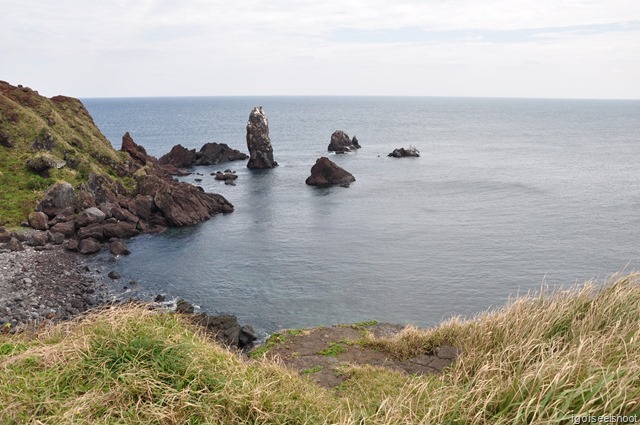 Seopjikoji coastline at Jeju