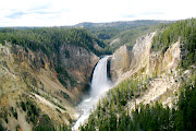 Yellow Stone National Park (yellow )