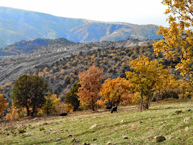 2014 Sonbahar Manzaraları