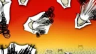 Paper Wars Cannon Fodder 